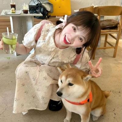 虎之眼