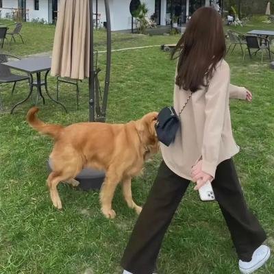 毒水:环境种族主义